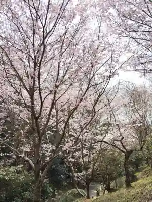 大神神社の{uncategorized: "未分類", other: "その他", undefined: "問題あり", building: "その他建物", grave: "お墓", sacred_gate: "鳥居", guardian: "狛犬", statue: "像", buddha: "仏像", history: "歴史", nature: "自然", garden: "庭園", animal: "動物", pagoda: "塔", temizu: "手水舎", mountain_gate: "山門・神門", sanctuary: "本殿・本堂", subordinate: "末社・摂社", art: "芸術", scenery: "景色", jizo: "地蔵", ema: "絵馬", goshuin: "御朱印", omikuji: "おみくじ", items: "授与品その他", amulet: "お守り", goshuincho: "御朱印帳", eats: "食事", festival: "お祭り", votive_dance: "神楽", shichigosan: "七五三参", wedding: "結婚式", experience: "体験その他", initially: "初詣", around: "周辺", anti_infection: "感染症対策"}