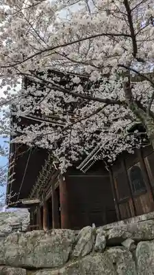 知恩院(京都府)