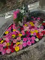 井伊谷宮の手水舎