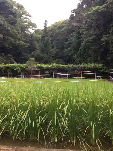 猿田彦神社のその他建物
