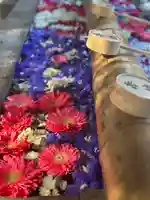 群馬県護国神社(群馬県)