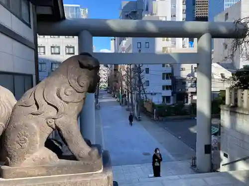 芝大神宮の狛犬