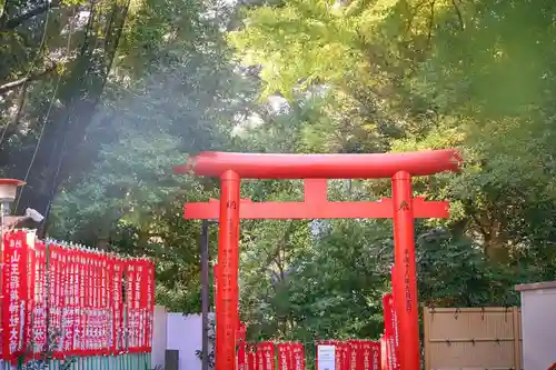 日枝神社の鳥居