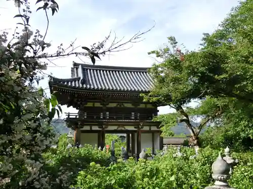 観音寺の山門