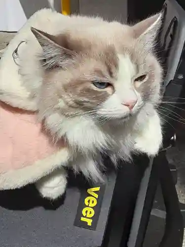 湯島天満宮(東京都)