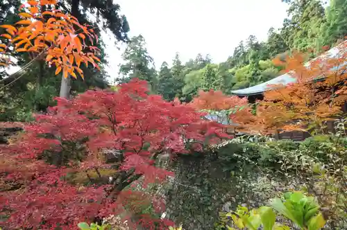 西山興隆寺(愛媛県)