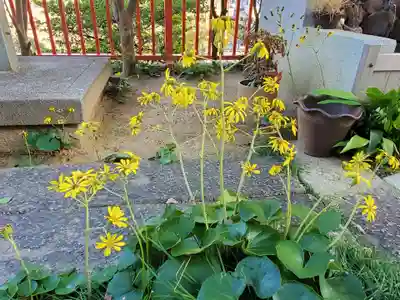 神戸水天宮の自然