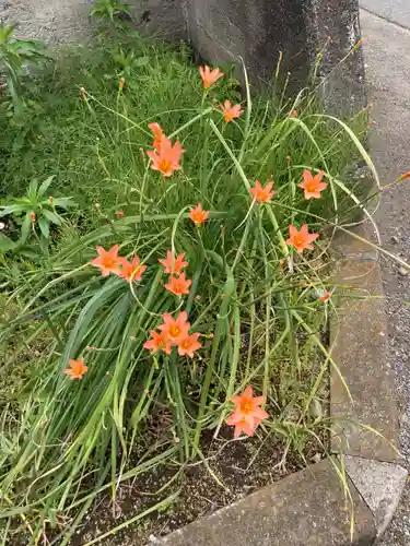 蓮台寺(神奈川県)