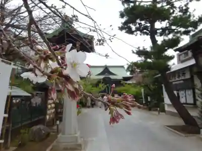 桜神宮の本殿・本堂