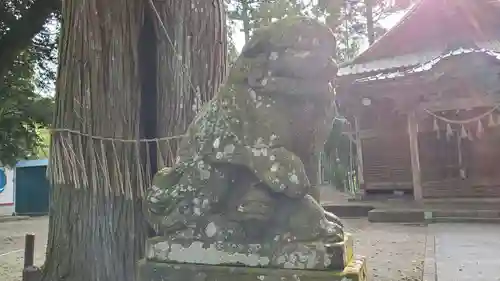 日月神社の狛犬