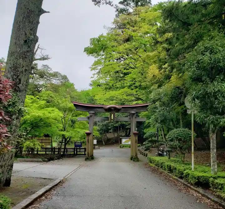 鳥取東照宮(旧樗谿神社)の鳥居