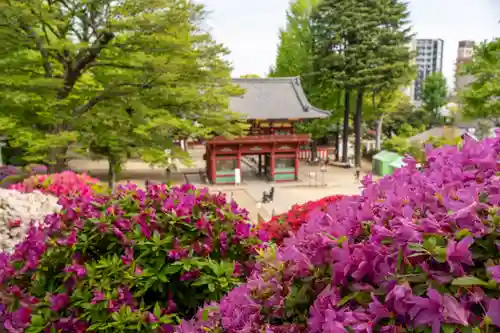 根津神社(東京都)