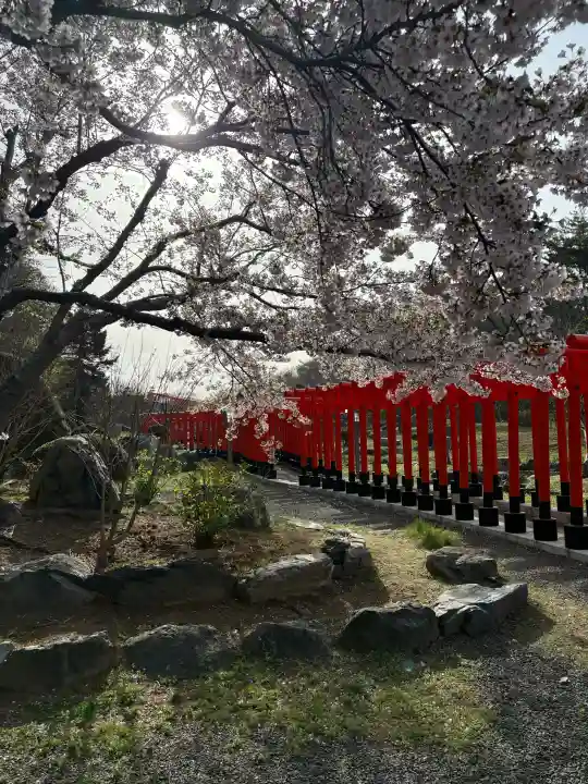 高山稲荷神社の{uncategorized: "未分類", other: "その他", undefined: "問題あり", building: "その他建物", grave: "お墓", sacred_gate: "鳥居", guardian: "狛犬", statue: "像", buddha: "仏像", history: "歴史", nature: "自然", garden: "庭園", animal: "動物", pagoda: "塔", temizu: "手水舎", mountain_gate: "山門・神門", sanctuary: "本殿・本堂", subordinate: "末社・摂社", art: "芸術", scenery: "景色", jizo: "地蔵", ema: "絵馬", goshuin: "御朱印", omikuji: "おみくじ", items: "授与品その他", amulet: "お守り", goshuincho: "御朱印帳", eats: "食事", festival: "お祭り", votive_dance: "神楽", shichigosan: "七五三参", wedding: "結婚式", experience: "体験その他", initially: "初詣", around: "周辺", anti_infection: "感染症対策"}