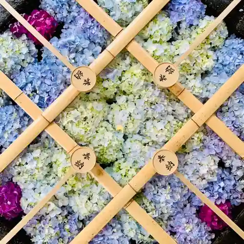 土津神社｜こどもと出世の神さまの手水舎