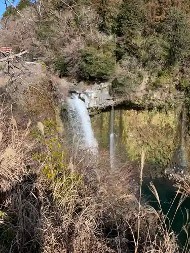 厳磐叢神社の自然