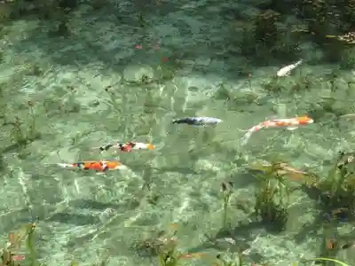 根道神社(岐阜県)