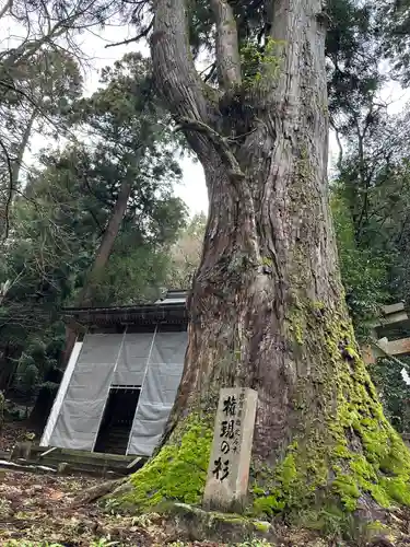 佐波加刀神社(滋賀県)