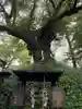ヤマト