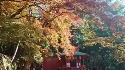 談山神社(奈良県)