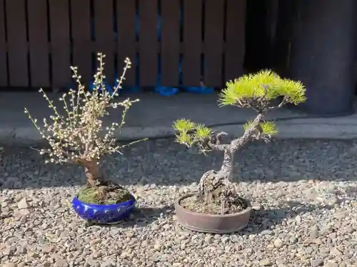 高円寺氷川神社(東京都)