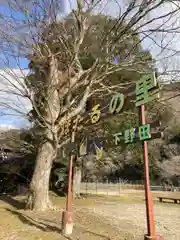 西林寺の建物その他