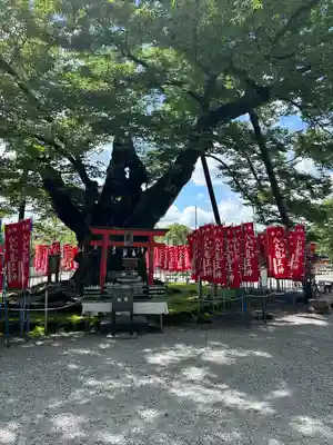 秩父今宮神社(埼玉県)