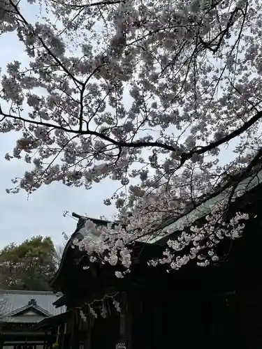 畑子安神社の仏像