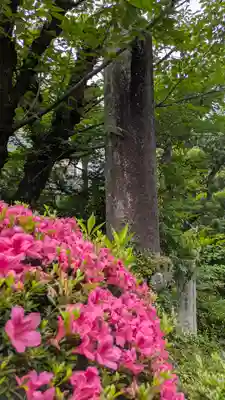 證安院(京都府)