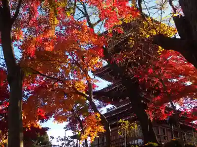 本土寺(千葉県)