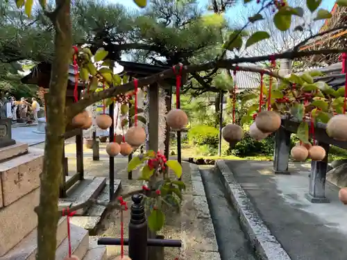 岡寺（龍蓋寺）(奈良県)