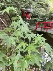 目の霊山　油山寺(静岡県)