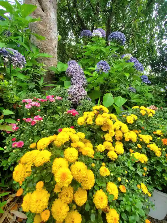 豊景神社(福島県)