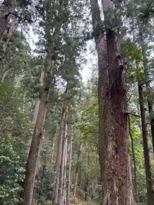 飛瀧神社(熊野那智大社別宮)(和歌山県)