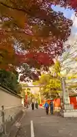 賀茂御祖神社(下鴨神社)(京都府)