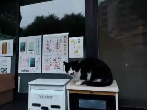 白金氷川神社の動物