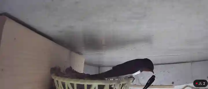 石動神社(新潟県)