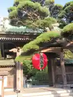 長谷寺の山門・神門