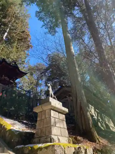 三峯神社(埼玉県)