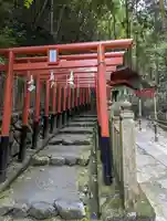 狸谷山不動院の鳥居