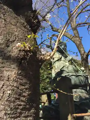 瀧泉寺（目黒不動尊）のその他建物