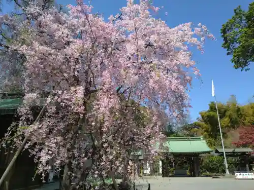 大宮八幡宮(東京都)