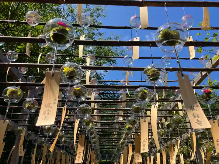 正寿院(京都府)