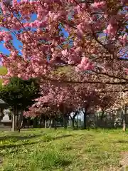 江南神社(北海道)