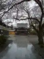 篠座神社の本殿・本堂