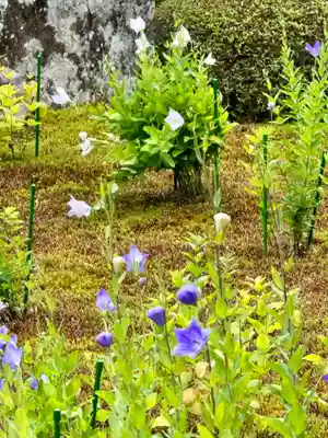 天得院(京都府)