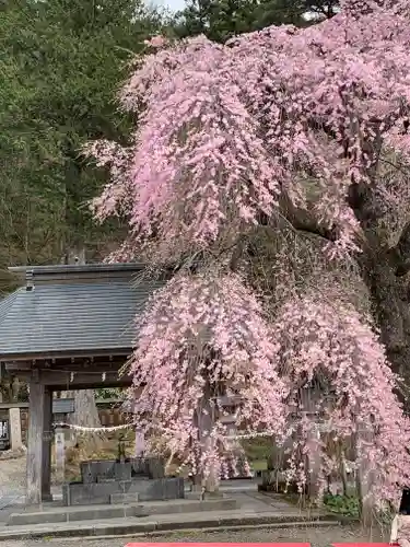 南湖神社の自然