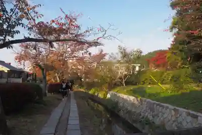 慈照寺(慈照禅寺・銀閣寺)の周辺