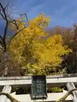 安楽寺釈迦堂(滋賀県)