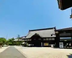 高田本山専修寺の本殿
