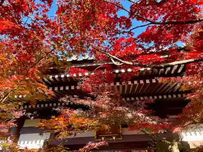 迎接院(東京都)